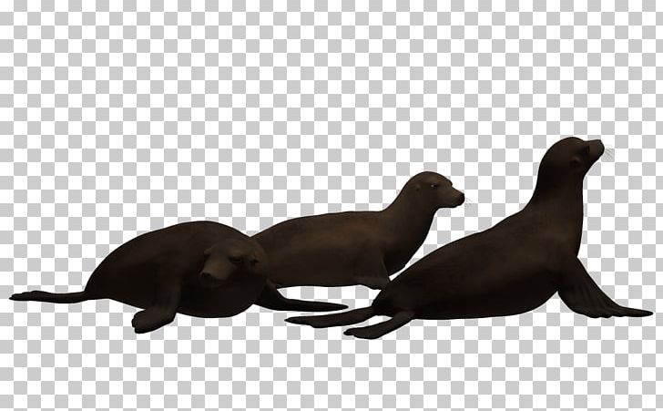 Sea Lion Three-dimensional Space Animation PNG, Clipart, 3d Cartoon, 3d Cartoon Animals, 3d Cartoon Fish, 3d Computer Graphics, Animal Free PNG Download