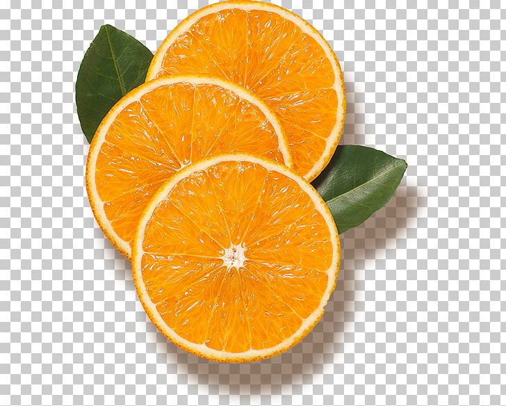 Orange Juice Lake Wales Bitter Orange Tangerine PNG, Clipart, Bitter Orange, Citric Acid, Citrus, Clementine, Drink Free PNG Download