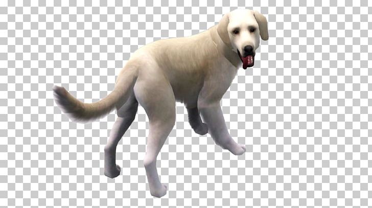 Labrador Retriever Puppy Dog Breed Companion Dog Sporting Group PNG, Clipart, Animals, Breed, Carnivoran, Companion Dog, Dog Free PNG Download