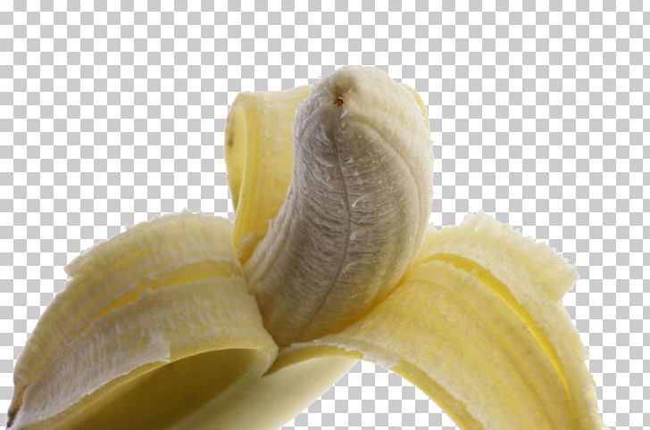 Banana Fruit Vegetable PNG, Clipart, Banana, Banana Chips, Banana Family, Banana Leaf, Banana Leaves Free PNG Download