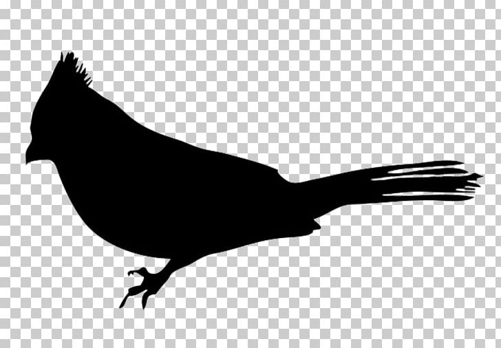 Bird European Robin Silhouette PNG, Clipart, American Robin, Animals, Art, Beak, Bird Free PNG Download