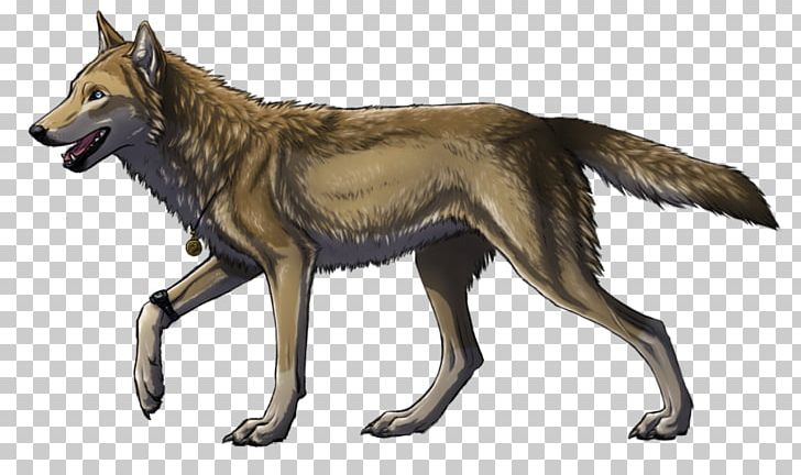 Kunming Wolfdog Saarloos Wolfdog Czechoslovakian Wolfdog Gray Wolf Coyote PNG, Clipart, Animals, Canis, Canis Ferox, Carnivoran, Coyote Free PNG Download