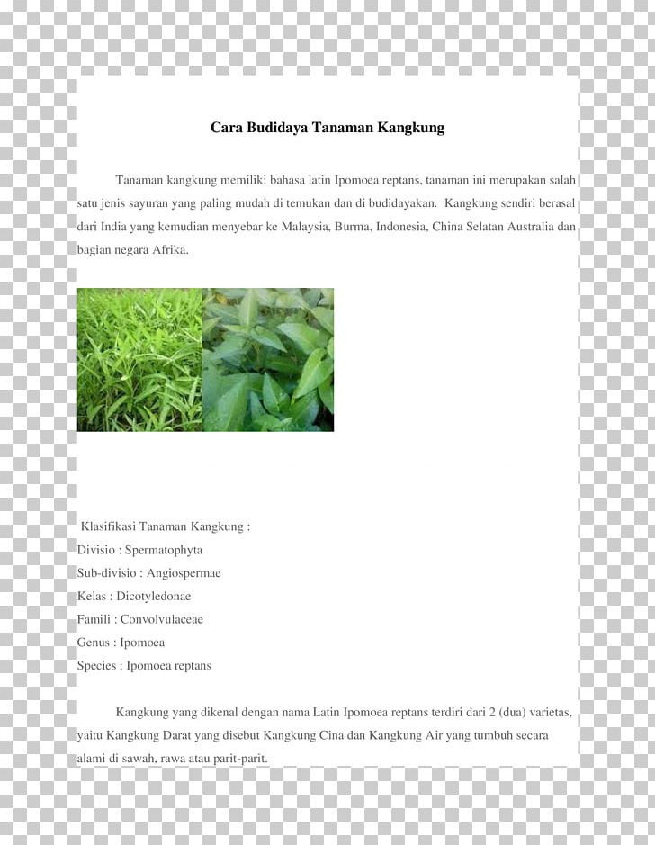 Water Spinach Brand Brochure PNG, Clipart, Agar, Brand, Brochure, Cara, Document Free PNG Download