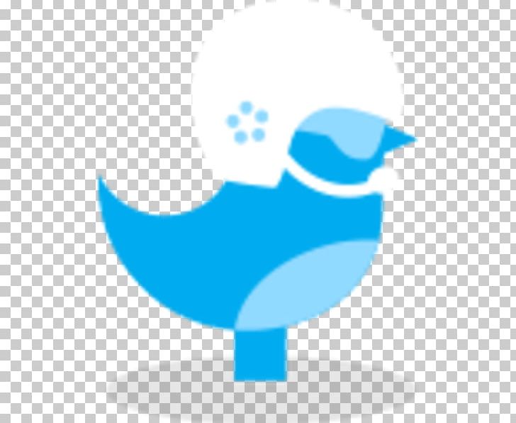 Beak Bird Desktop PNG, Clipart, Animals, Azure, Beak, Bird, Blue Free PNG Download