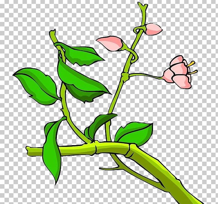 Floral Design Twig Leaf Plant Stem Green PNG, Clipart, Branch, Decoration, Diagram, Flora, Floral Design Free PNG Download
