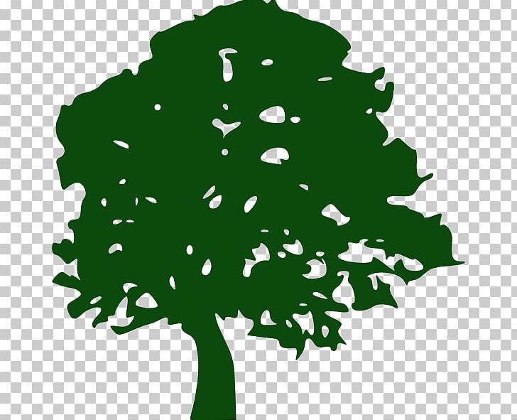 Oak Tree Giant Sequoia PNG, Clipart, Branch, Drawing, Giant Sequoia, Grass, Green Free PNG Download