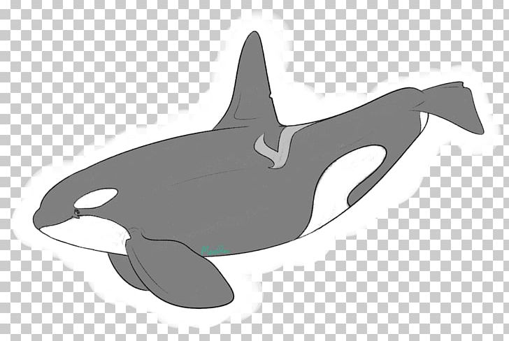 Southern Resident Killer Whales Dolphin Art Cetaceans PNG, Clipart,  Free PNG Download