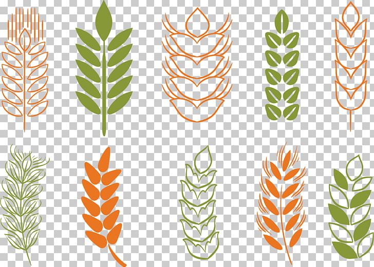 Wheat Cereal Rice PNG, Clipart, Adobe Icons Vector, Bran, Camera Icon, Cartoon Icon, Cereals Free PNG Download