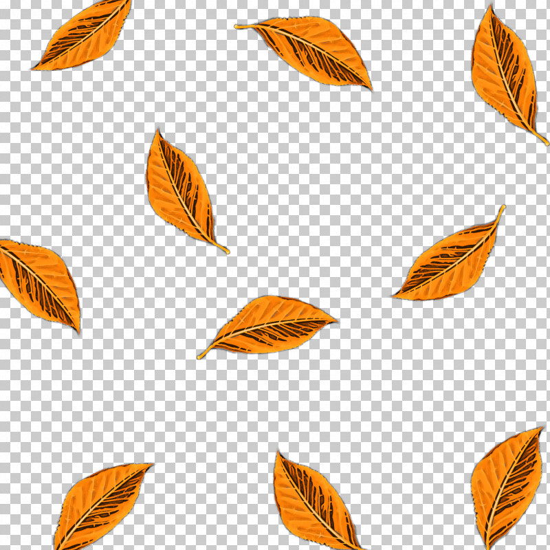 Orange PNG, Clipart, Leaf, Orange, Plant, Tree Free PNG Download