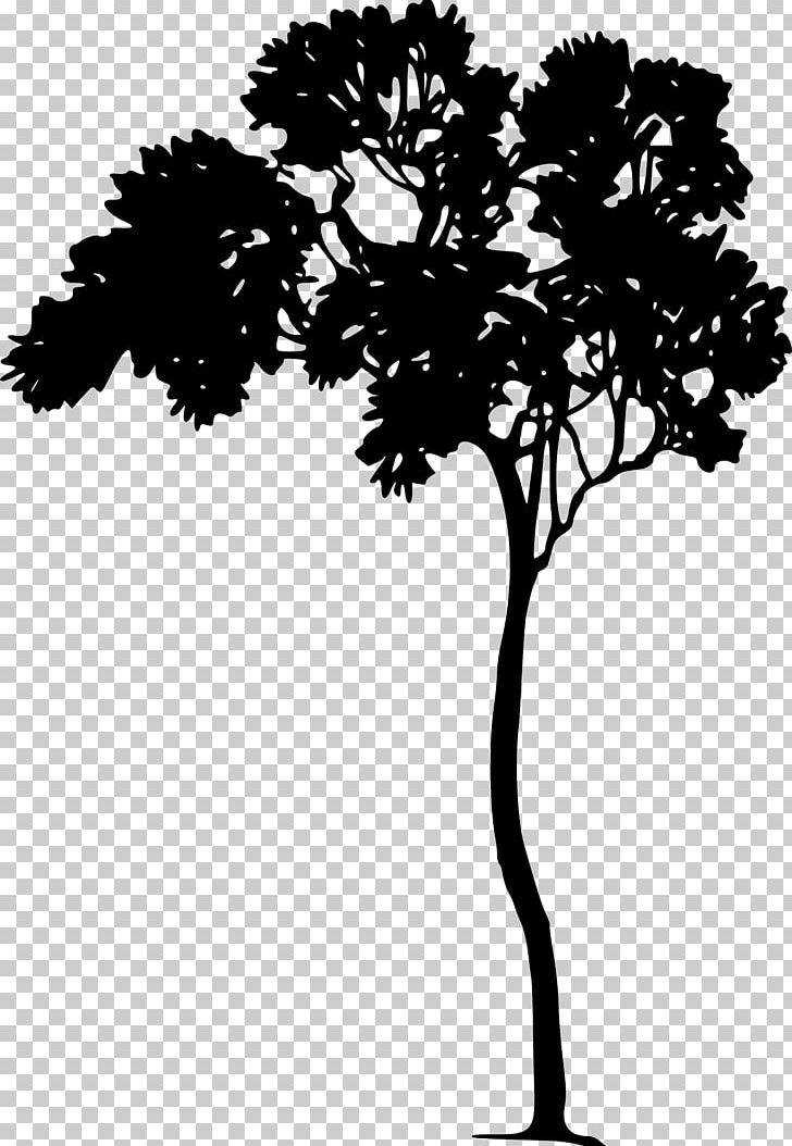 Art Drawing PNG, Clipart, Animals, Arth, Black And White, Branch, Computer Icons Free PNG Download