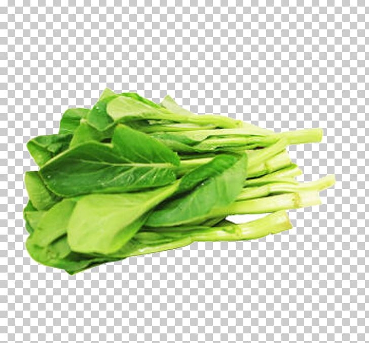 Romaine Lettuce Choy Sum Spring Greens PNG, Clipart, Background Green, Bok Choy, Cabbage, Cabbage Vector, Chard Free PNG Download