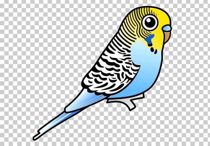 Budgerigar Parrot Bird Parakeet PNG, Clipart, Animals, Artwork, Beak, Bird, Blue Free PNG Download