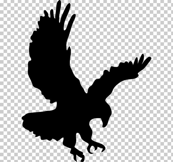 Manenberg Secondary School Silhouette Stencil Sticker PNG, Clipart, Animals, Artwork, Beak, Bird, Bird Of Prey Free PNG Download