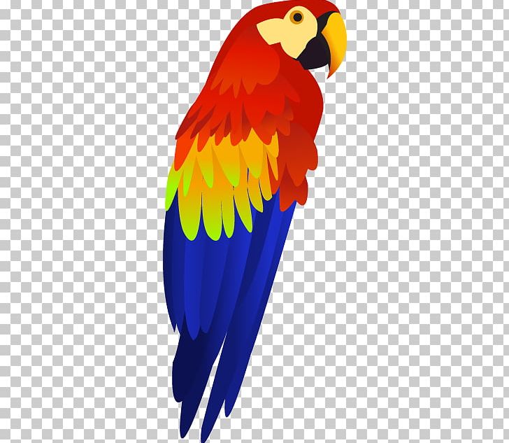 Parrot PNG, Clipart, Parrot Free PNG Download