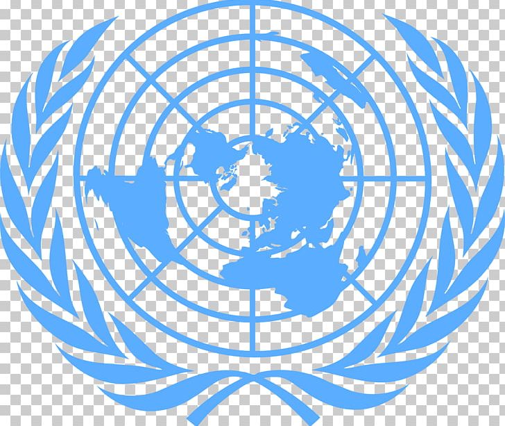 United Nations Secretariat United Nations Development Group Flag Of The United Nations Convention On The Rights Of Persons With Disabilities PNG, Clipart, Logo, Miscellaneous, Others, Sphere, Symmetry Free PNG Download