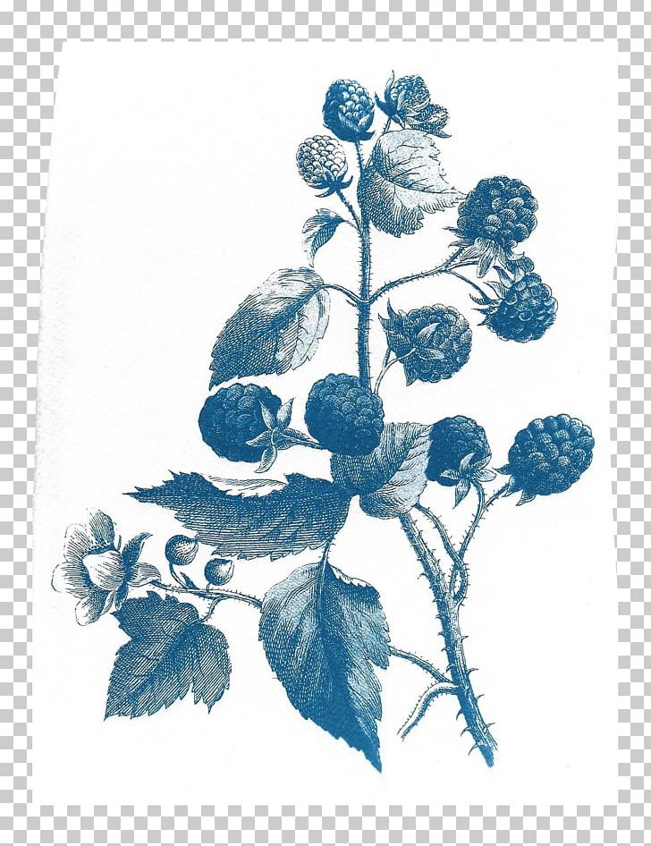 Before The First Kiss Cyanotype Drawing Paper PNG, Clipart, Art, Blue, Book, Botanical Illustration, Branch Free PNG Download