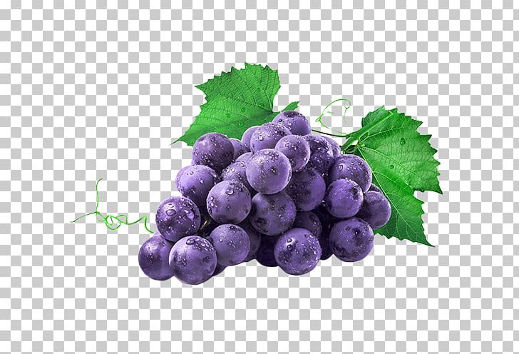 Common Grape Vine Isabella Juice Concord Grape PNG, Clipart, Bilberry, Blueberry, Food, Fruit, Fruit Nut Free PNG Download