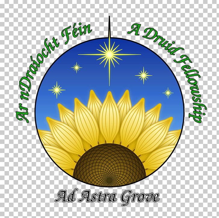 Druid Ár NDraíocht Féin Divination Faith Belief PNG, Clipart, Belief, Billboard, Brand, Council, Court Free PNG Download
