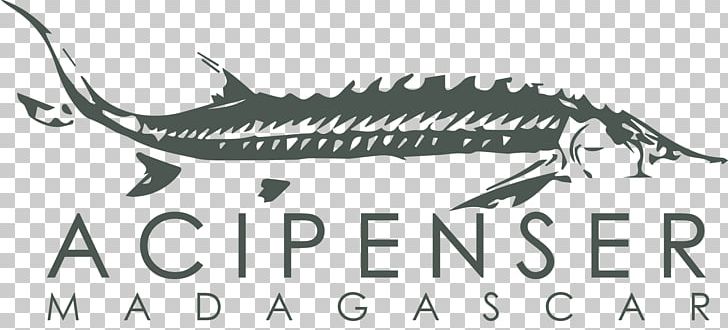 Madagascar Logo Caviar Greater Sturgeons Brand PNG, Clipart, Black And White, Brand, Caviar, Company, Fish Free PNG Download