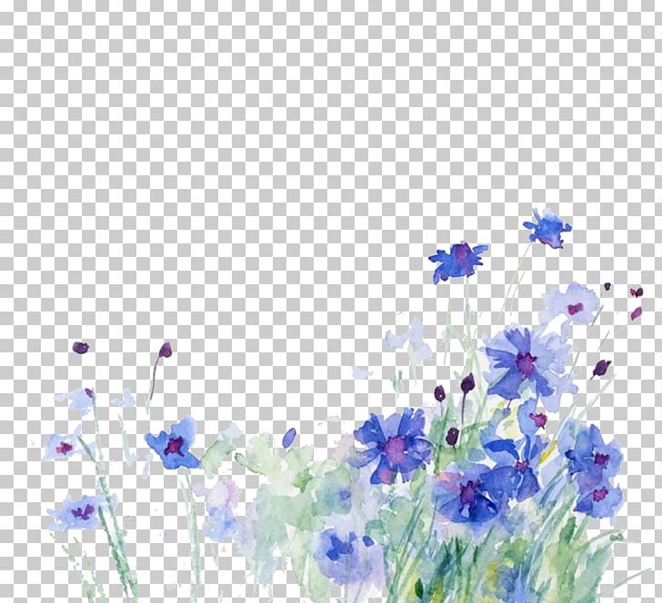 Cornflower Watercolor Painting Illustration PNG, Clipart, Blue, Drawing, Flora, Flower, Flowering Plant Free PNG Download