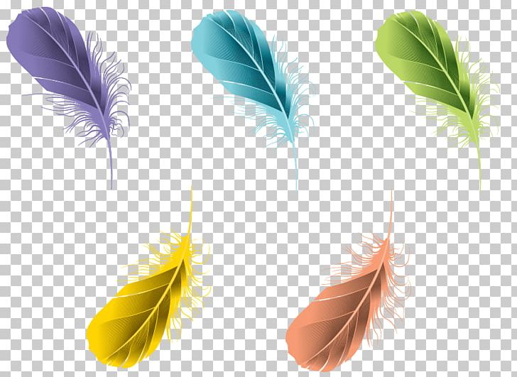 Feather Digital PNG, Clipart, Animals, Cdr, Color, Coreldraw, Digital Image Free PNG Download