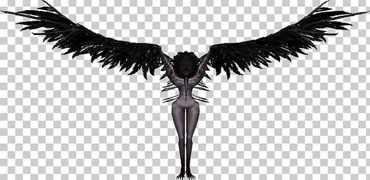 Legendary Creature Costume White Neck Supernatural PNG, Clipart, Beak, Black And White, Costume, Crow, Dark Free PNG Download