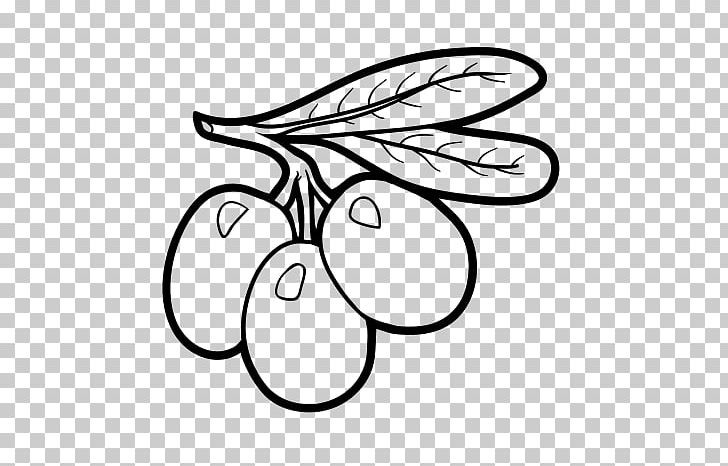 Olive Branch Coloring Book Child Fruit PNG, Clipart, Art, Banana, Black, Black And White, Cartoon Free PNG Download