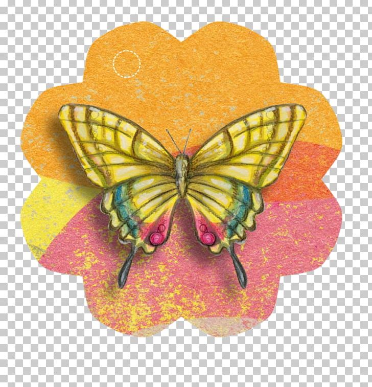 Paper Craft Butterfly Greeting & Note Cards PNG, Clipart, Brush Footed Butterfly, Butterfly, Color, Greeting Note Cards, Insect Free PNG Download
