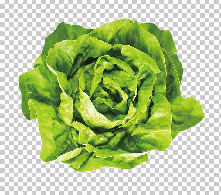 Smoothie Iceberg Lettuce Butterhead Lettuce Romaine Lettuce Leaf Vegetable PNG, Clipart, Butterhead Lettuce, Chard, Choy Sum, Collard Greens, Food Free PNG Download