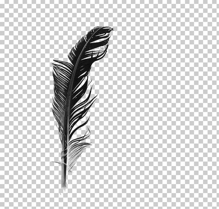 White Feather Black And White PNG, Clipart, Animals, Background Black, Black, Black And White, Black Background Free PNG Download