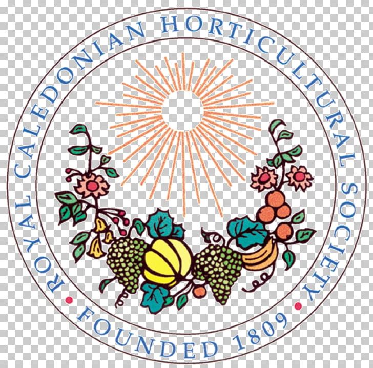 Faculty Of Law PNG, Clipart, Area, Art, Arts, Artwork, Circle Free PNG Download