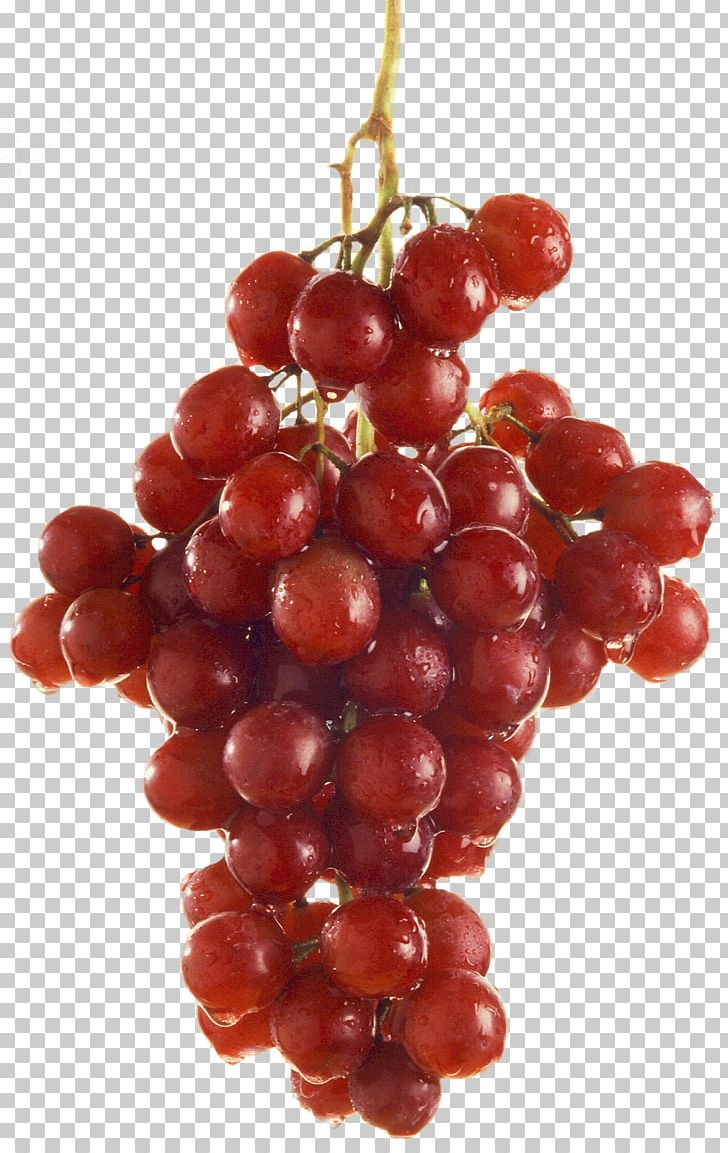 Grape Red Wine Juice Barbera Flame Seedless PNG, Clipart, Berry, Common Grape Vine, Cranberry, Currant, Food Free PNG Download