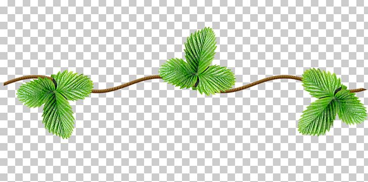 Mint Icon PNG, Clipart, Background Green, Berry, Branch, Dots Per Inch, Download Free PNG Download