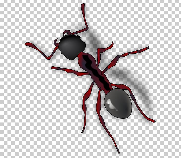 The Ant And The Grasshopper PNG, Clipart, Animation, Ant, Ant And The Grasshopper, Ant Colony, Arthropod Free PNG Download