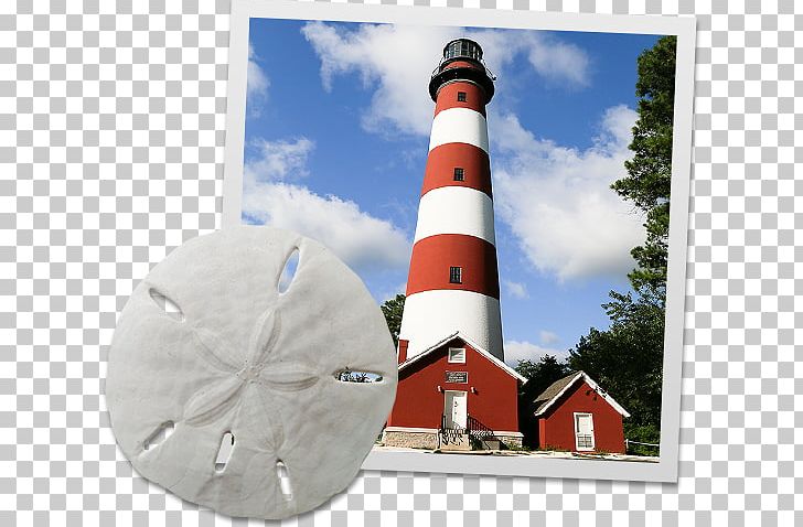 Assateague Lighthouse Chincoteague Chamber Of Commerce Chincoteague Pony Salt Water Taffy PNG, Clipart, Chamber Of Commerce, Chincoteague, Chincoteague Pony, Credit, Lighthouse Free PNG Download