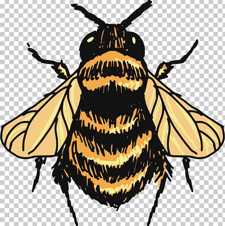 Bumblebee Drawing Sketch PNG, Clipart, Animal, Arthropod, Bee, Cartoon,  Flying Free PNG Download