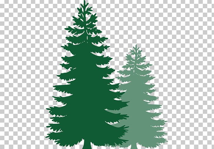 Pine Open Tree PNG, Clipart, Christmas Decoration, Christmas Ornament, Christmas Tree, Computer, Conifer Free PNG Download