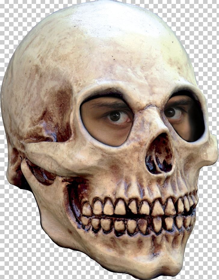 Mask Halloween Costume Human Skeleton Skull PNG, Clipart, Adult, Art, Bone, Carnival, Clothing Free PNG Download
