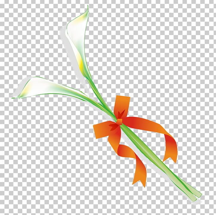 Graphic Design Drawing Flower PNG, Clipart, Bouquet, Computer Wallpaper, Coreldraw, Drawing, Encapsulated Postscript Free PNG Download