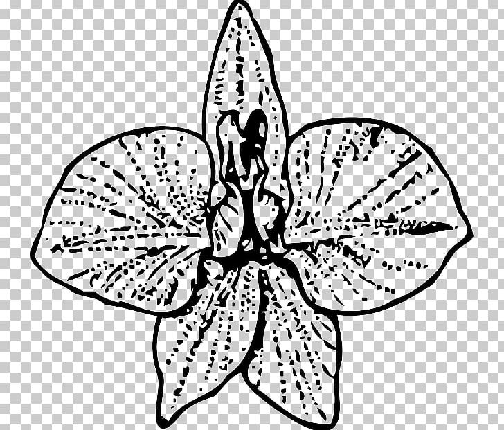 Larkspur Flower PNG, Clipart, Artwork, Birth Flower, Black And White, Butterfly, Drawin Free PNG Download