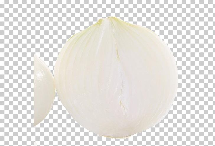 Onion Organic Food Vegetable PNG, Clipart, Download, Google Images, Ingredient, Kind, Nutrition Free PNG Download
