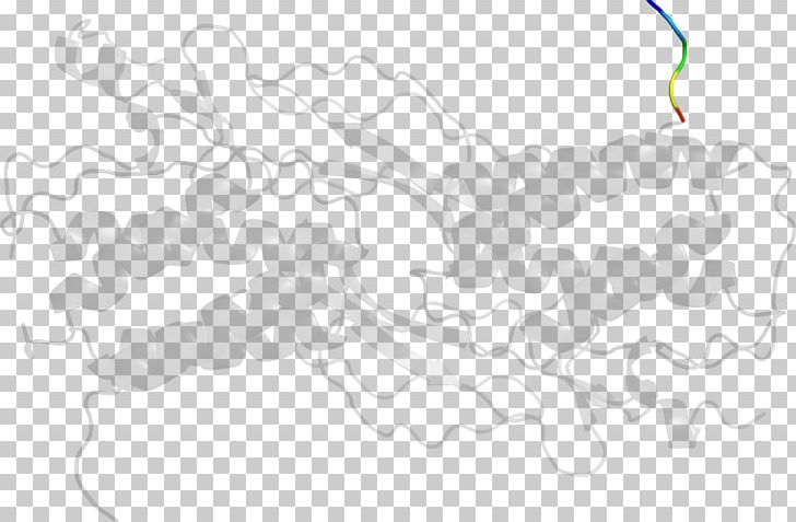 White Line PNG, Clipart, Area, Art, Black And White, Branch, Interleukin 3 Free PNG Download