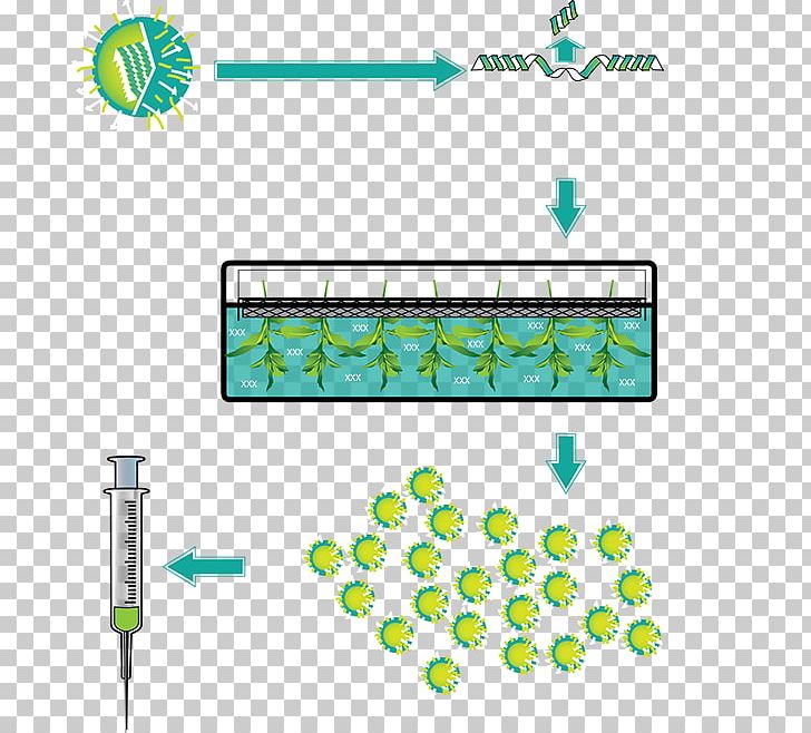 Tree Line Technology Point PNG, Clipart, Area, Grass, Green, Influenza Vaccine, Line Free PNG Download
