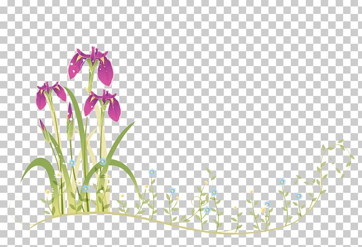 Border Flowers Moth Orchids PNG, Clipart, Butterfly, Butterfly Flower, Curve, Decorative, Flora Free PNG Download