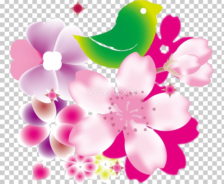 Cherry Blossom 日本の中小企業: 少子高齢化時代の起業・経営・承継 原発棄民: フクシマ5年後の真実 Flower PNG, Clipart, Blossom, Cherry Blossom, Color, Computer Wallpaper, Floral Design Free PNG Download