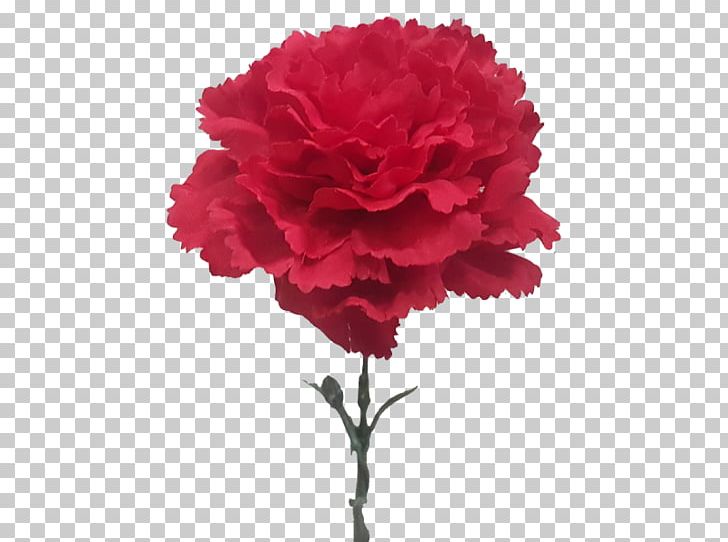 Cut Flowers Carnation Plant Rose PNG, Clipart, Artificial Flower, Carnation, Cut Flowers, Dianthus, Family Free PNG Download