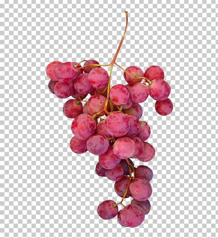Grape Leaves Fruit Raisin PNG, Clipart, Apple Fruit, Berry, Bunch, Bunch Of, Cherry Free PNG Download