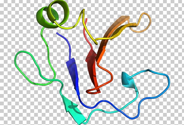 Body Jewellery Organism PNG, Clipart, 1 X, Area, Art, Artwork, Body Jewellery Free PNG Download
