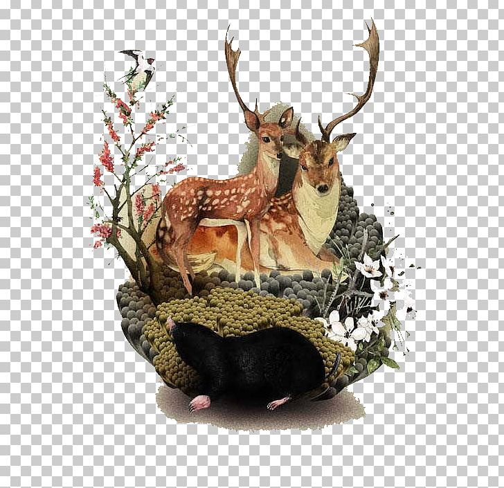 Deer Digital Illustration Illustration PNG, Clipart, Animals, Antler, Beauti, Cartoon, Cute Free PNG Download