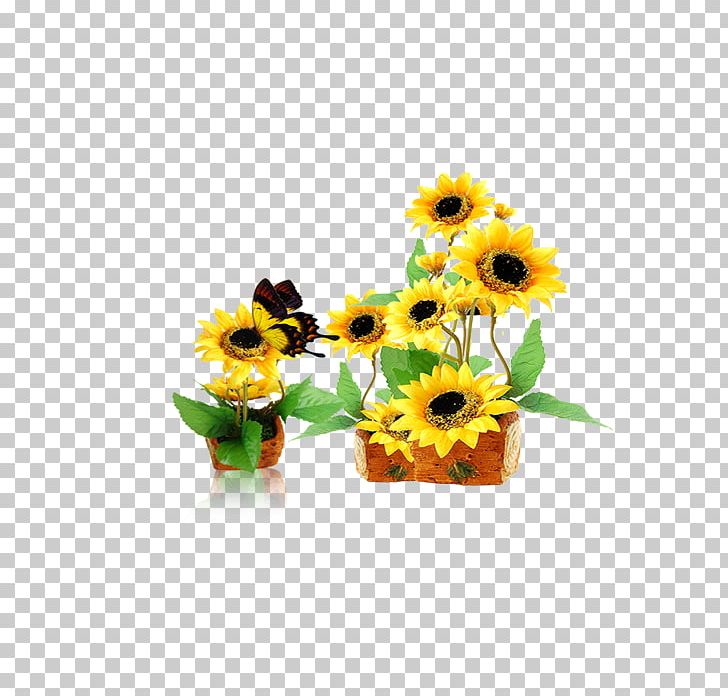 Common Sunflower Yellow PNG, Clipart, Artificial Flower, Color, Cut, Daisy Family, Flower Free PNG Download
